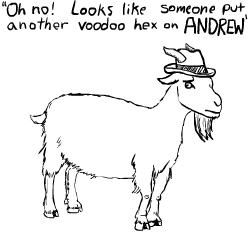 Andrew