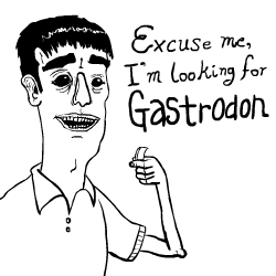 gastrodon