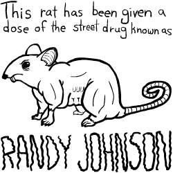 Randy Johnson