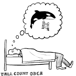 Tall Count Orca